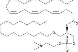 Docosahexaenoyl PAF C-16 Chemical Structure