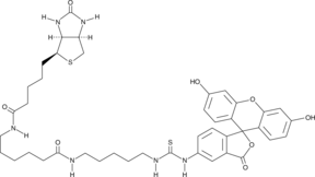 Fluorescein Biotin Chemical Structure
