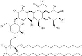 Ganglioside GM1 Asialo Mixture Chemical Structure