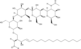 Globotetraosylceramides (porcine RBC) Chemical Structure