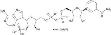NADP+ (sodium salt hydrate) Chemical Structure