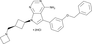 NVP-AEW541 (hydrochloride) Chemical Structure