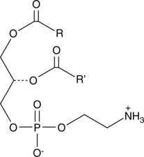 Phosphatidylethanolamines (egg) Chemical Structure