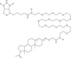 Progesterone 3-PEG11-biotin Chemical Structure