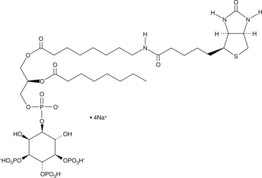 PtdIns-(3,4,5)-P3-biotin (sodium salt) Chemical Structure