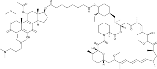 Wortmannin-Rapamycin Conjugate Chemical Structure