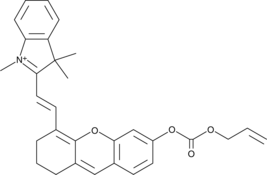 CAY10737 Chemical Structure