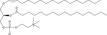 1-1(Z)-Hexadecenyl-2-Palmitoyl-sn-glycero-3-PC Chemical Structure