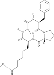 Chlamydocin Chemical Structure