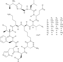 Bacitracin Complex Chemical Structure