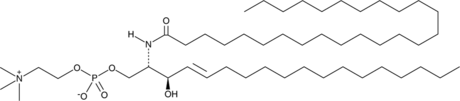 C26 Sphingomyelin (d18:1/26:0) Chemical Structure