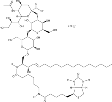 C6 Biotin Ganglioside GM3 (d18:1/6:0) (ammonium salt) Chemical Structure