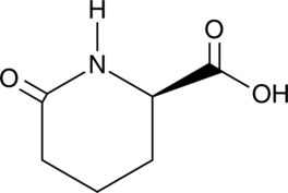 D-Pyrohomoglutamic Acid Chemical Structure