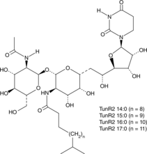 TunR2 Chemical Structure