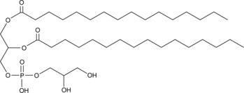 1,2-Dipalmitoyl-rac-glycero-3-PG MaxSpec® Standard Chemical Structure