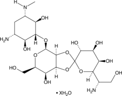 Hygromycin B (hydrate) Chemical Structure