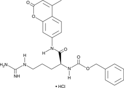 Z-(L-Arg)-AMC (hydrochloride) Chemical Structure