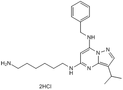 BS 181 dihydrochloride Chemical Structure