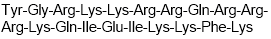 TAT-Gap19 Chemical Structure