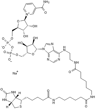 Biotin-LC-NAD+ Chemical Structure