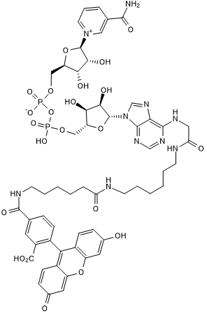 Fluorescein-NAD+ Chemical Structure