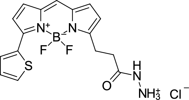 BDP 558/568 hydrazide Chemical Structure