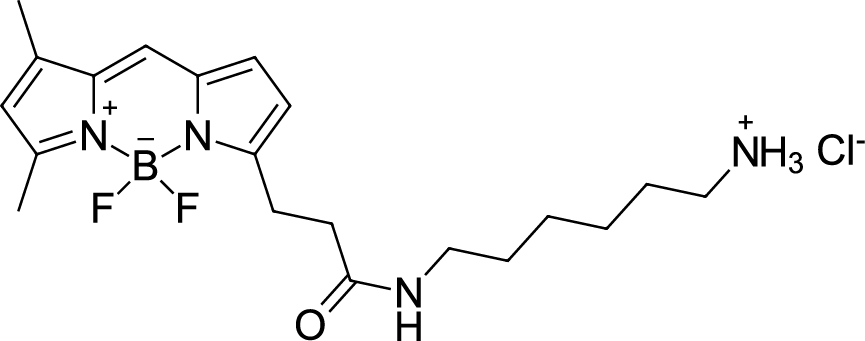 BDP FL amine Chemical Structure