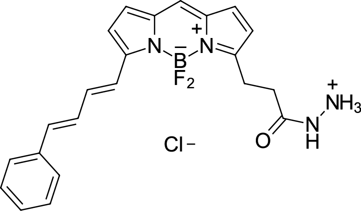 BDP 581/591 hydrazide Chemical Structure