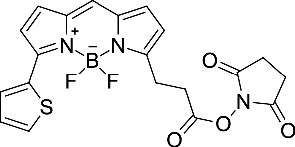 BDP 558/568 NHS ester Chemical Structure