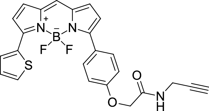 BDP TR alkyne Chemical Structure