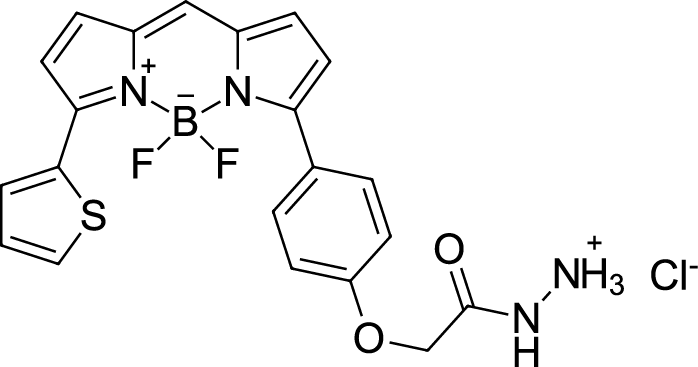 BDP TR hydrazide Chemical Structure