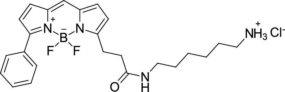 BDP R6G amine Chemical Structure