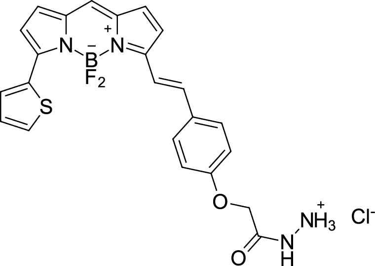BDP 630/650 hydrazide Chemical Structure