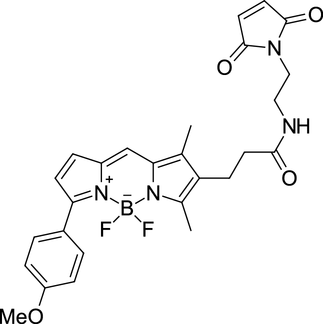 BDP TMR maleimide Chemical Structure