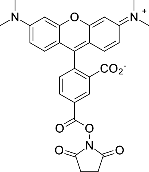 TAMRA NHS ester, 5-isomer Chemical Structure