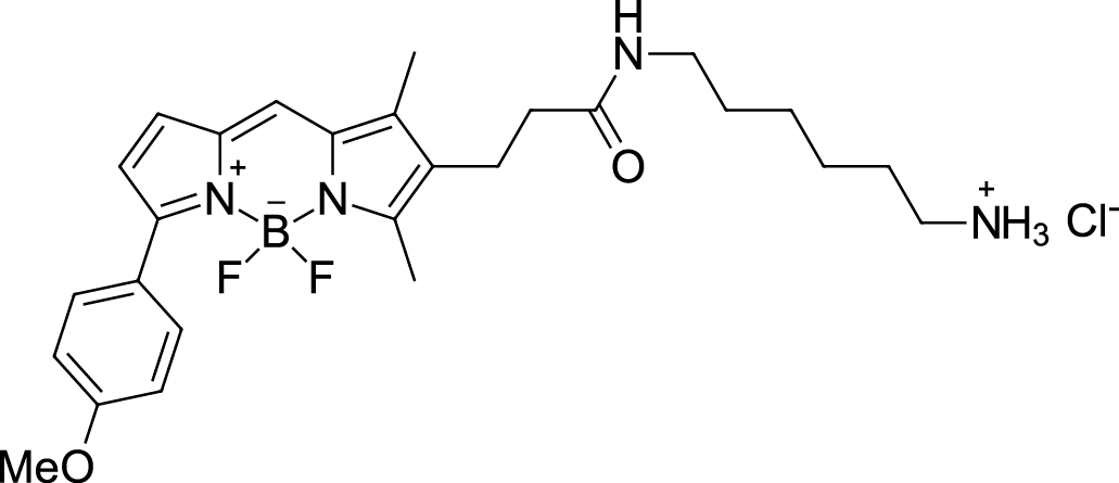 BDP TMR amine Chemical Structure