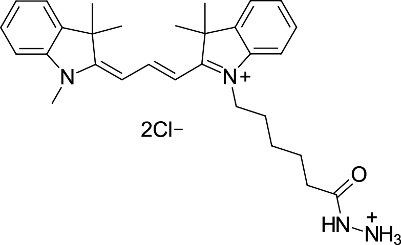 Cyanine3 hydrazide Chemical Structure