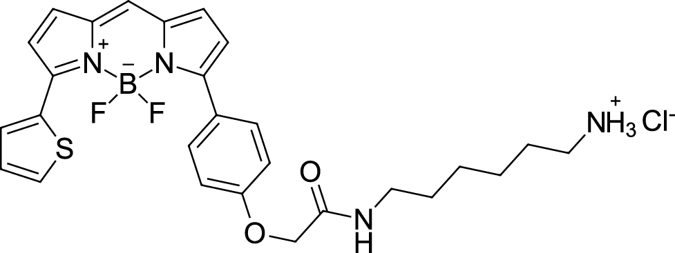 BDP TR amine Chemical Structure