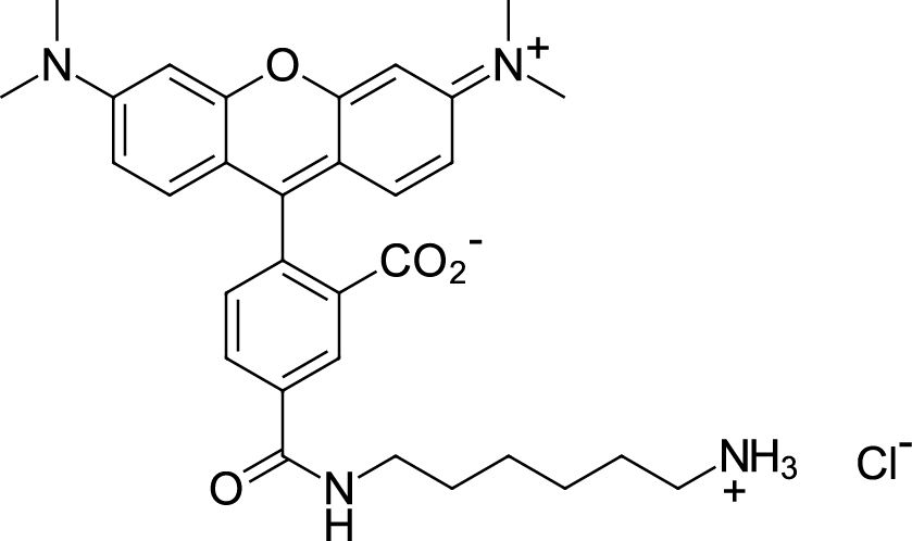 TAMRA amine, 5-isomer Chemical Structure