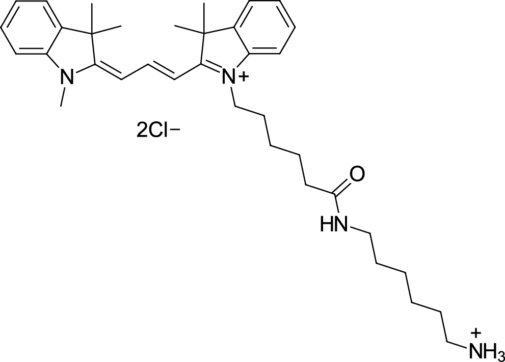 Cyanine3 amine Chemical Structure