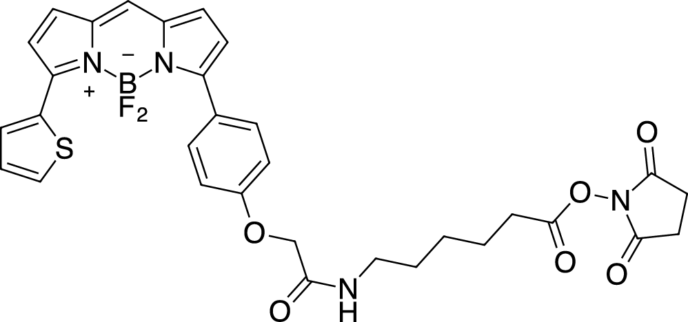 BDP TR X NHS ester Chemical Structure