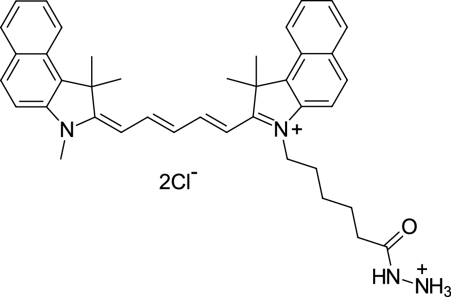 Cyanine5.5 hydrazide Chemical Structure