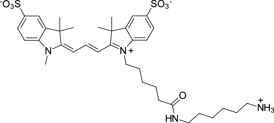 Sulfo-Cyanine3 amine Chemical Structure