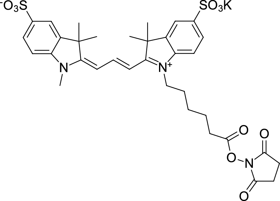 Sulfo-Cyanine3 NHS ester Chemical Structure