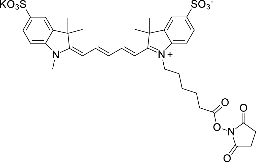 Sulfo-Cyanine5 NHS ester Chemical Structure