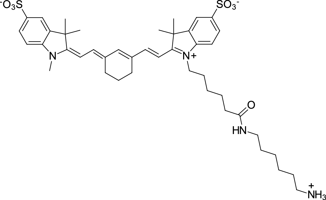 Sulfo-Cyanine7 amine Chemical Structure