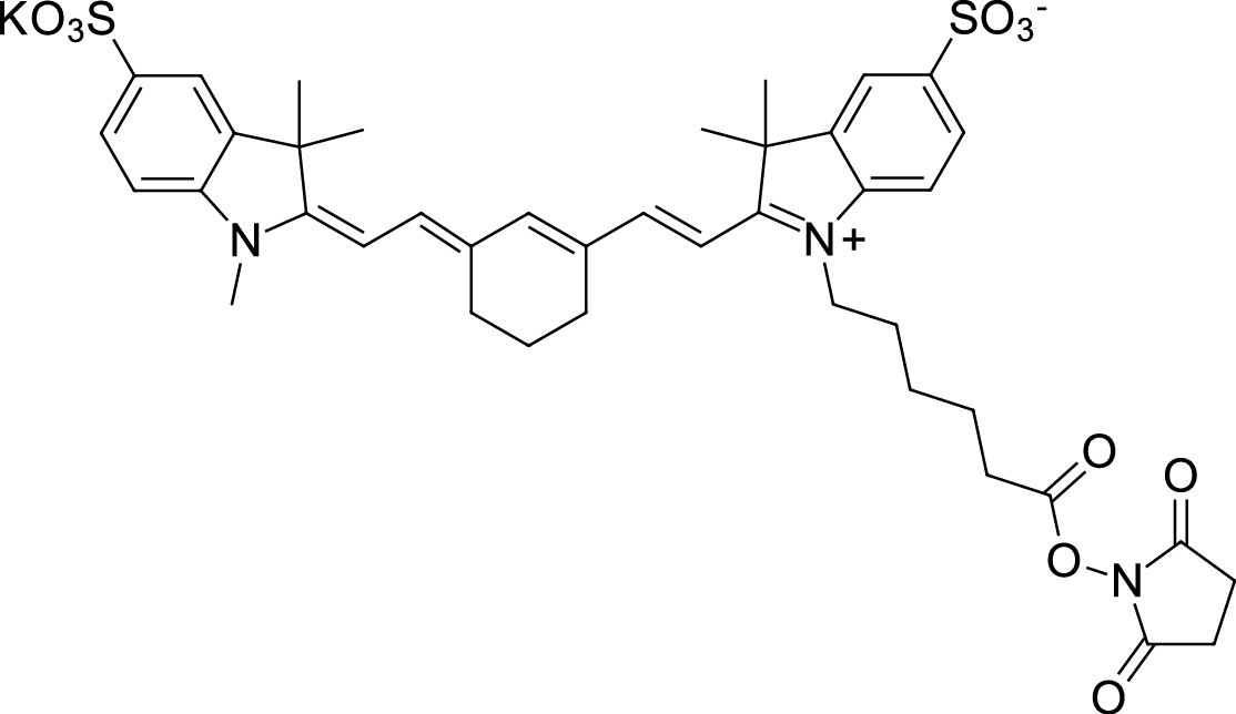 Sulfo-Cyanine7 NHS ester Chemical Structure