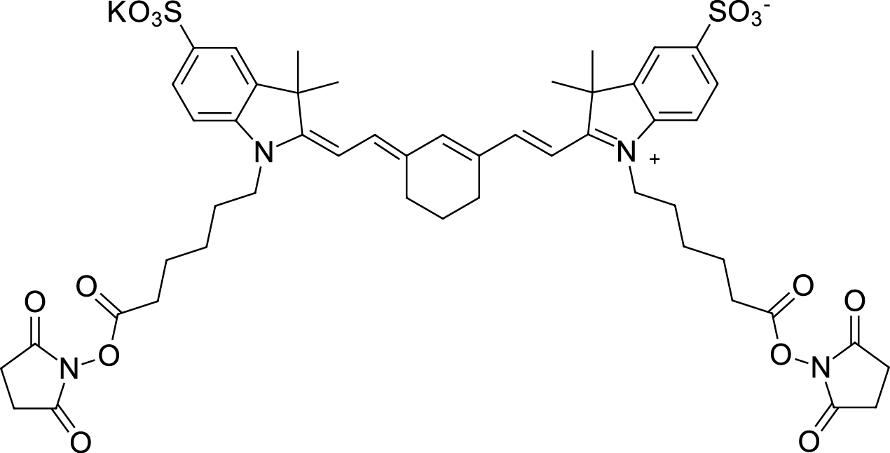 Sulfo-Cyanine7 bis-NHS ester Chemical Structure