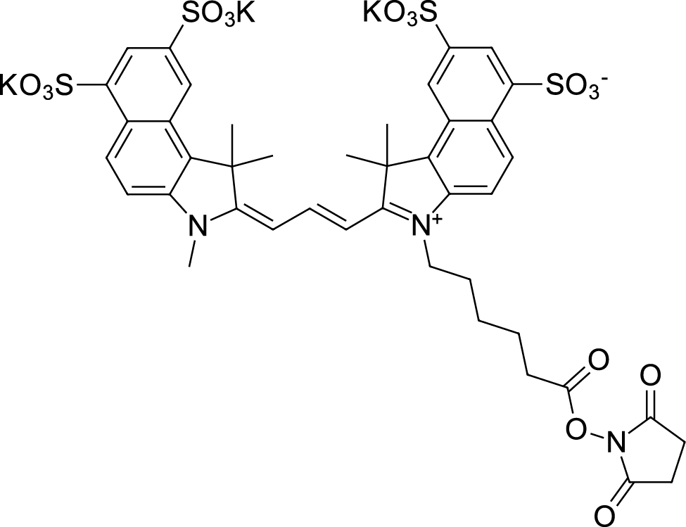 Sulfo-Cyanine3.5 NHS ester Chemical Structure