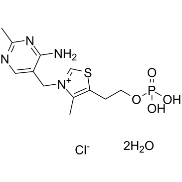 Thiamine monophosphate chloride (dihydrate) Chemical Structure